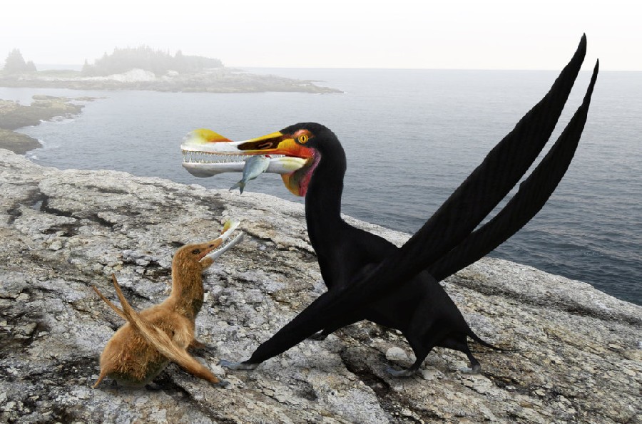 Ornithocheirus pictures