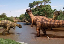 Pachycephalosaurus pictures