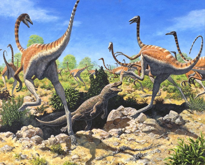 Ornithomimus pictures