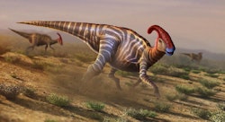 Parasaurolophus pictures