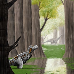 Pycnonemosaurus pictures