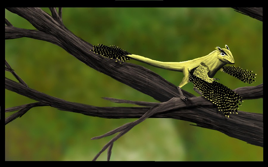 Scansoriopteryx pictures