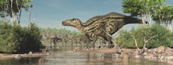 Shantungosaurus pictures