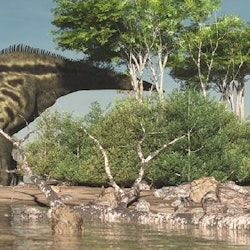 Shantungosaurus pictures