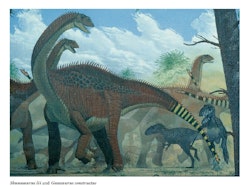 Shunosaurus pictures