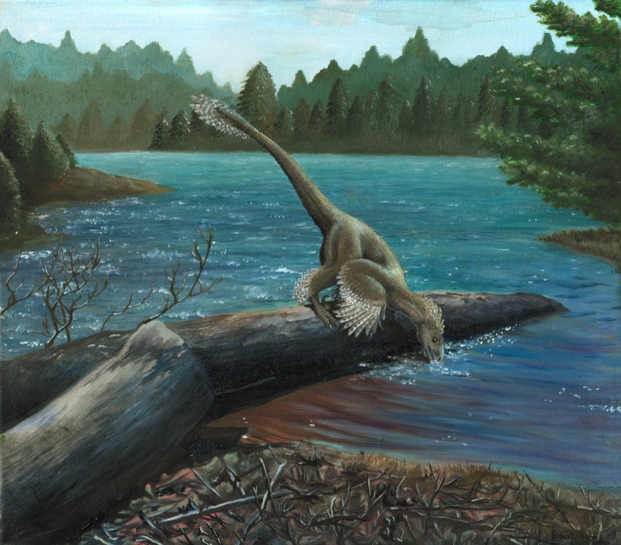 Sinornithosaurus pictures