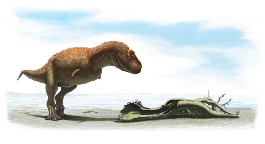 Skorpiovenator pictures