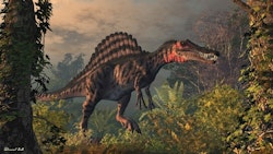 Spinosaurus pictures