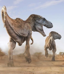Tarbosaurus pictures