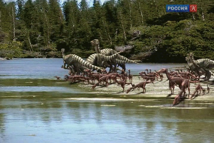 Qantassaurus pictures