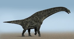 Titanosaurus pictures