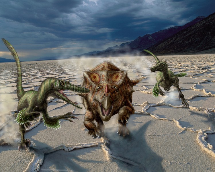 Bagaceratops pictures