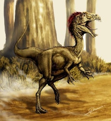 Velocisaurus pictures
