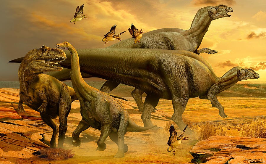 Willinakaqe pictures