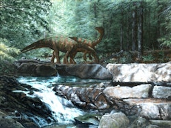 Yunnanosaurus pictures