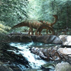 Yunnanosaurus pictures