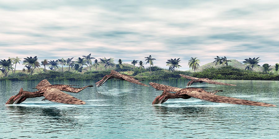 Zhenyuanopterus pictures